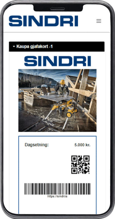 Ecommerce website design sindri.is