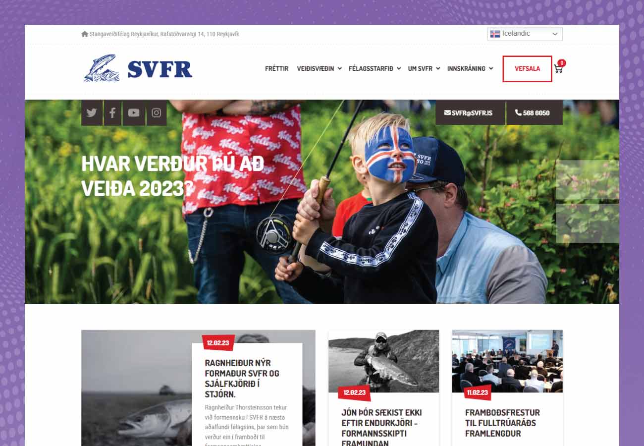 Ecommerce website design svfr.is